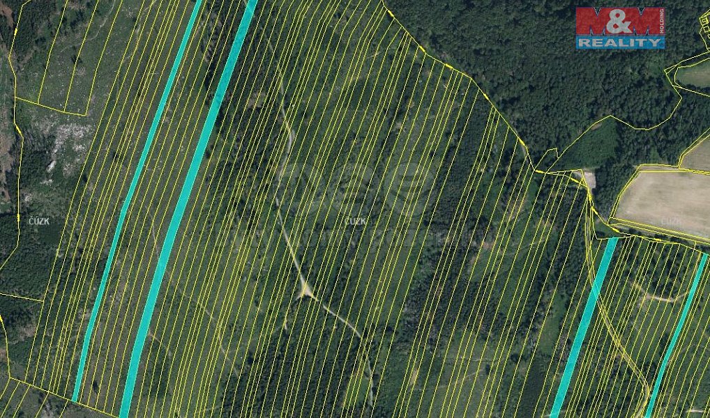 Prodej lesa 28 654 m², Nová Hradečná – náhled fotky 3