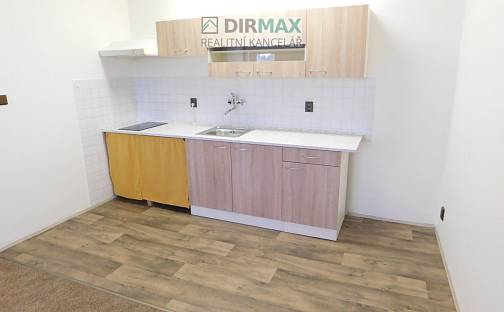 Pronájem bytu 1+kk 37 m², Křížkova, Plzeň - Severní Předměstí