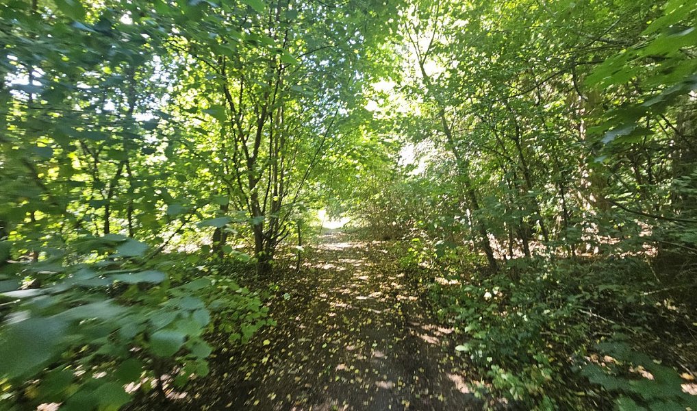 Prodej stavebního pozemku 5 391 m², Ústí nad Labem – náhled fotky 11