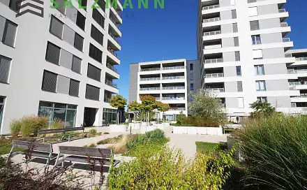 Pronájem bytu 1+kk 29 m²