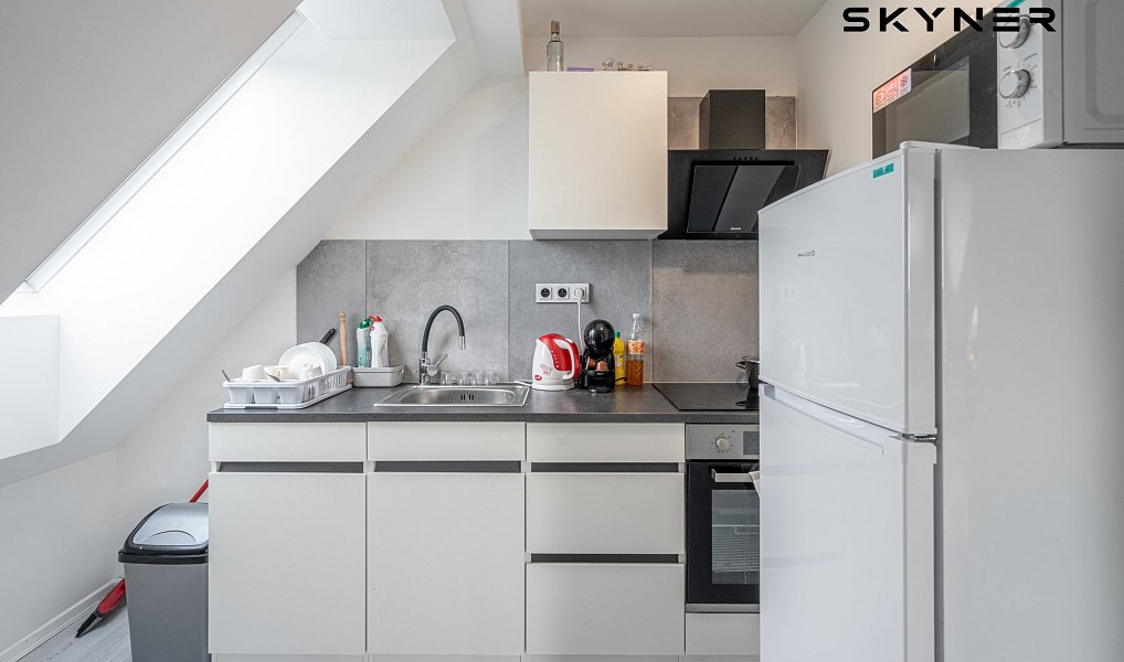 Prodej domu 276 m² s pozemkem 895 m², Nový Bor – náhled fotky 11