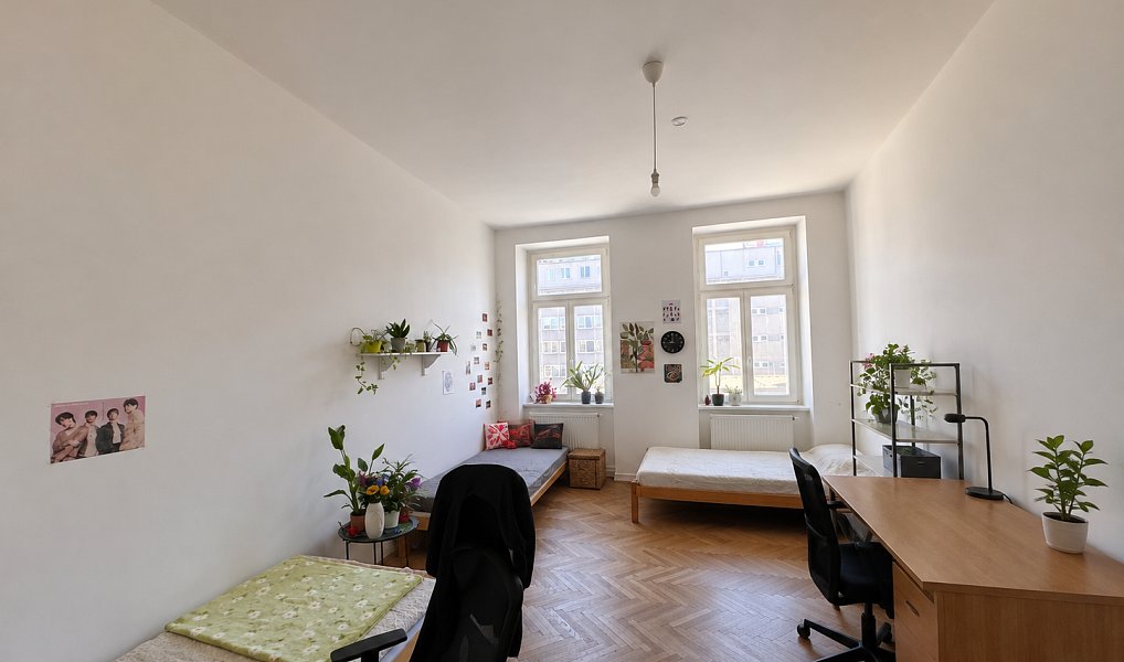 Prodej bytu 3+1 86 m², Brno – náhled fotky 2