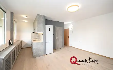 Pronájem bytu 1+kk 36 m²
