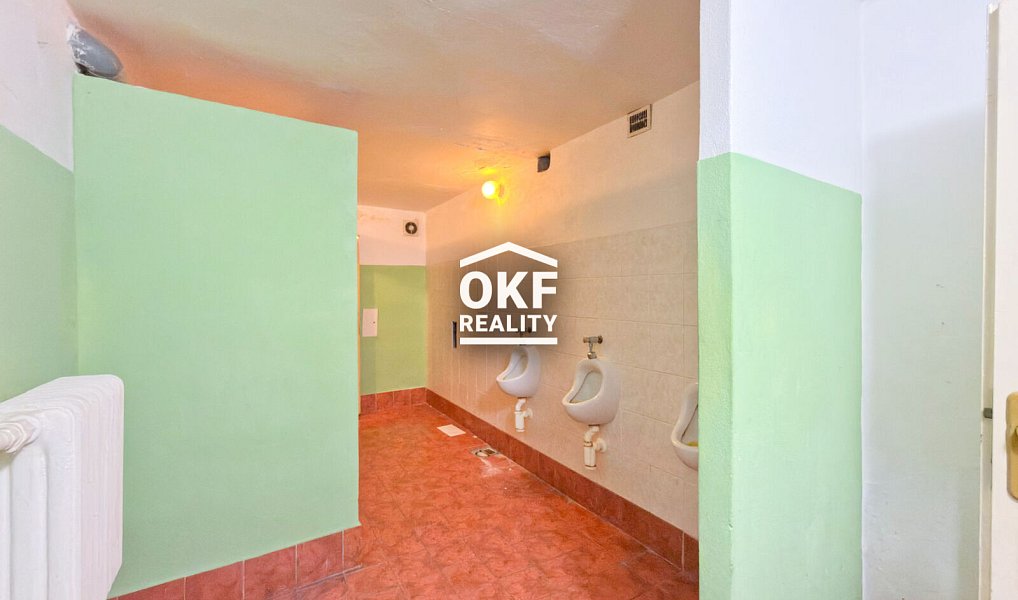 Prodej obchodních prostor 1 073 m², Daskabát – náhled fotky 17