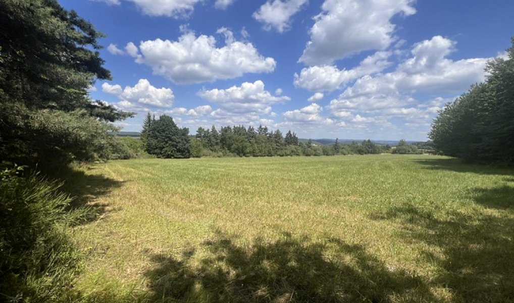 Prodej stavebního pozemku 14 128 m², Pečice – náhled fotky 2