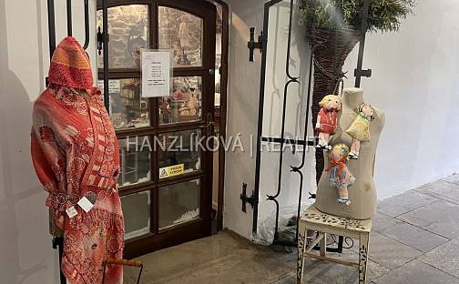 Pronájem obchodních prostor 20 m², Krajinská, České Budějovice - České Budějovice 1