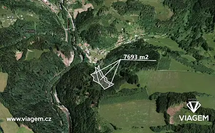 Prodej lesa 3 846 m², Poniklá, okres Semily