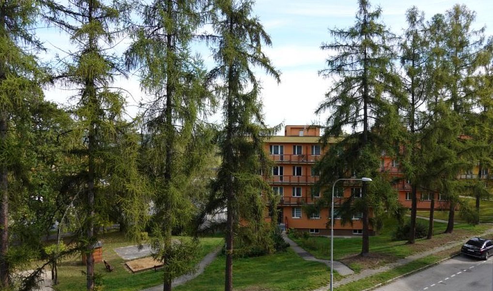 Prodej bytu 3+1 63 m², Ostrava – náhled fotky 32