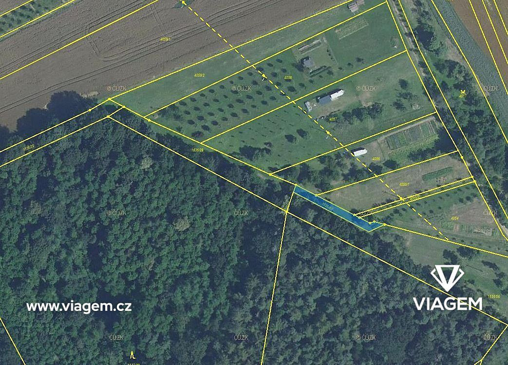 Prodej lesa 446 m² – fotografie 3