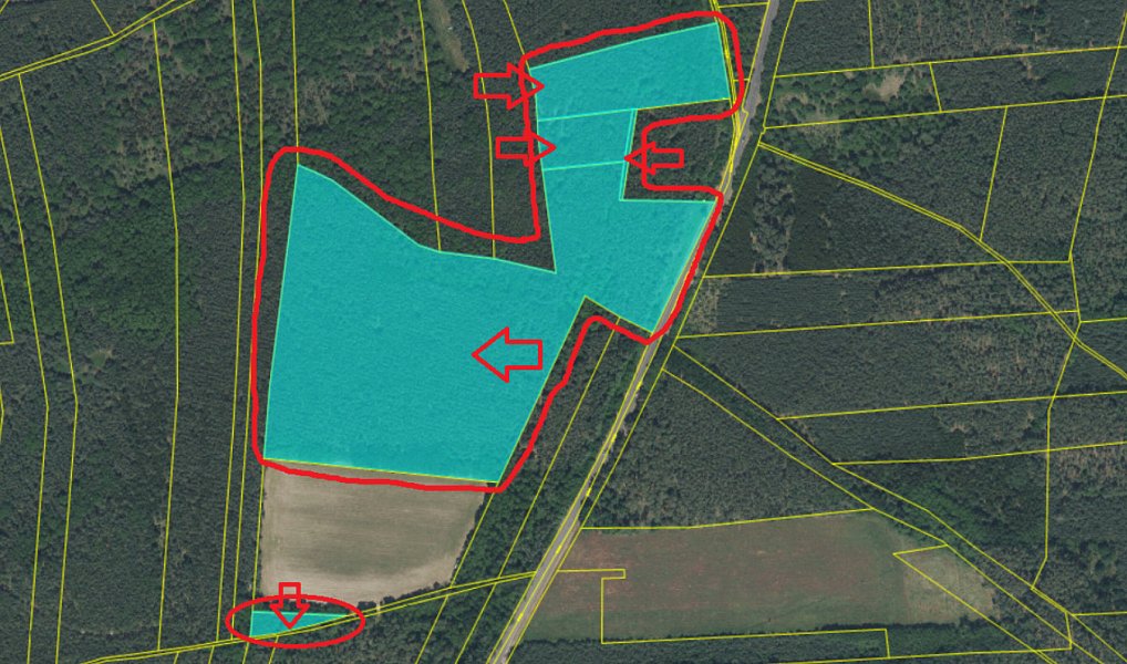 Prodej lesa 76 710 m², Račice – náhled fotky 11