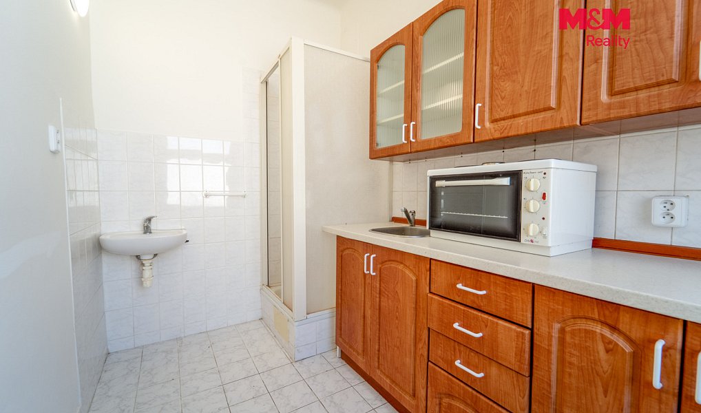 Pronájem bytu 1+1 34 m², Plzeň – náhled fotky 12