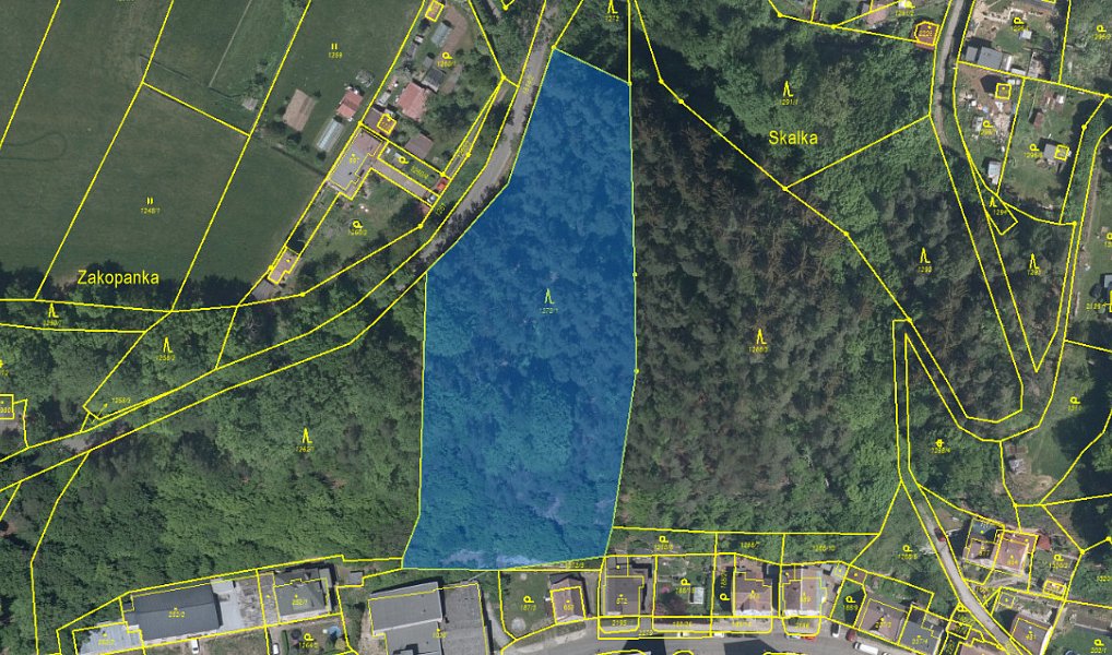 Prodej lesa 7 765 m², Úpice – náhled fotky 11