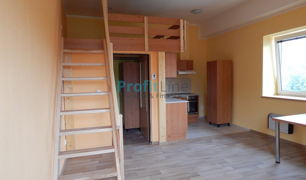 Pronájem bytu 1+kk 40 m², Zábřeh – náhled fotky 3