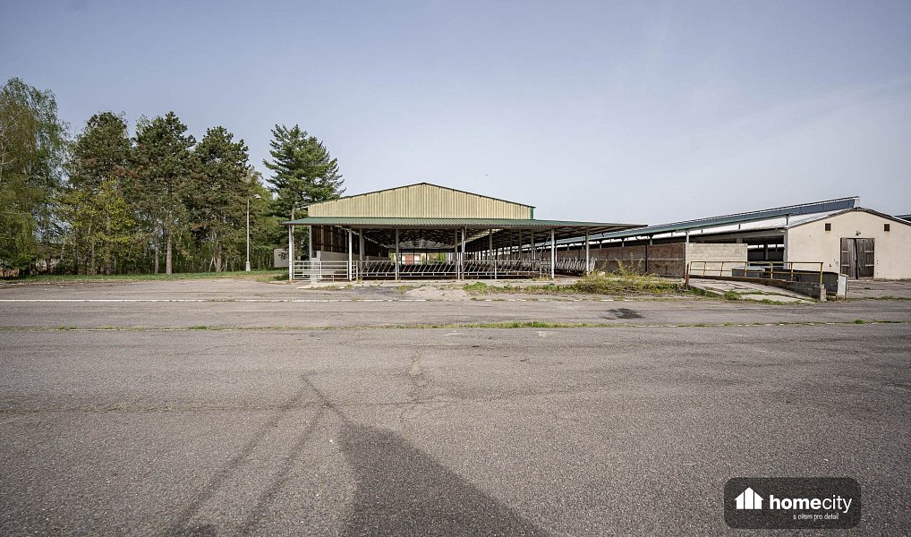 Prodej zemědělského objektu 38 087 m², Sovolusky – náhled fotky 13
