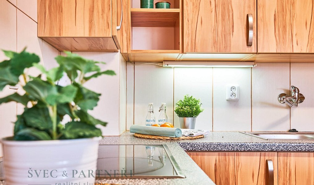 Prodej domu 188 m² s pozemkem 887 m², Český Krumlov – náhled fotky 26