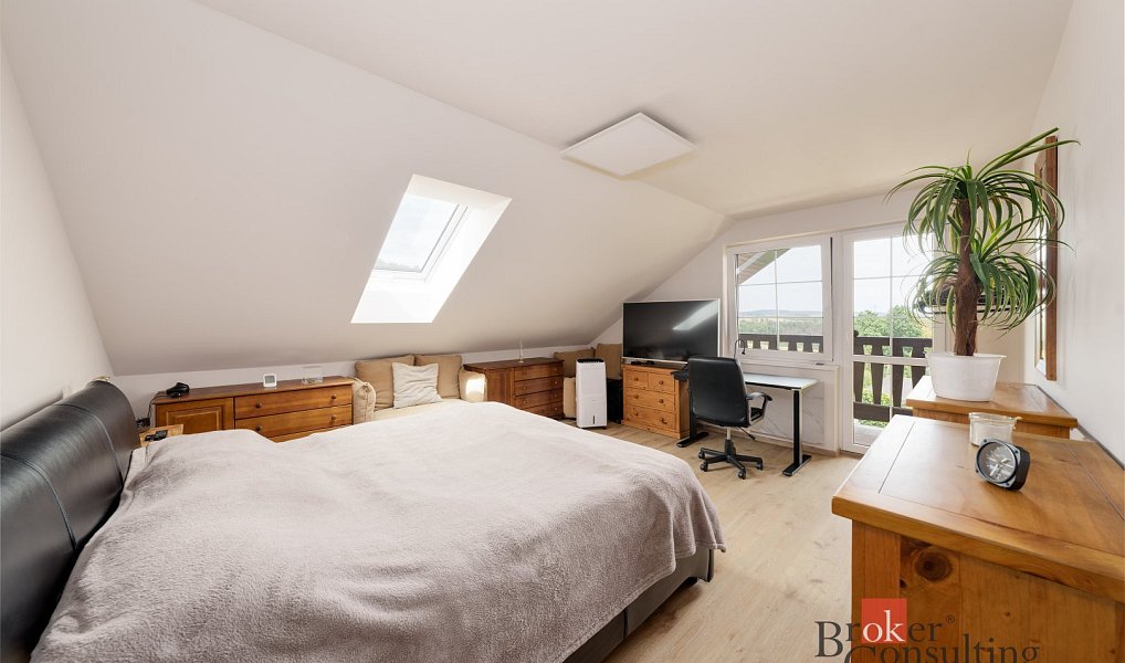 Prodej domu 239 m² s pozemkem 1 179 m², Nový Knín – náhled fotky 13