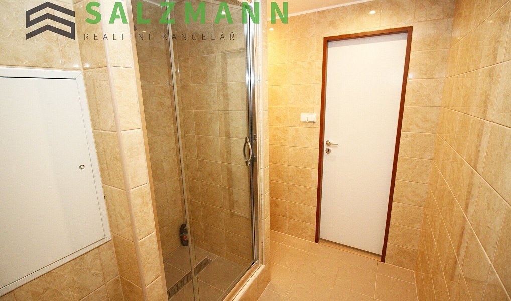 Prodej bytu 1+kk 35 m², Praha – náhled fotky 12