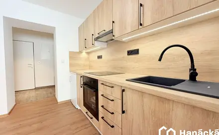Pronájem bytu 1+1 42 m², Bystřice pod Hostýnem, okres Kroměříž