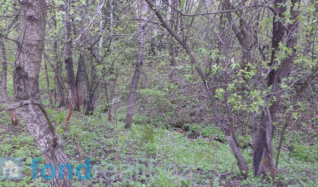 Prodej pozemku 8 296 m², Mosty u Jablunkova – náhled fotky 11