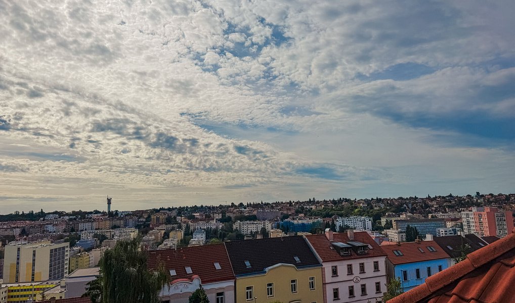Pronájem bytu 1+1 28 m², Praha – náhled fotky 2