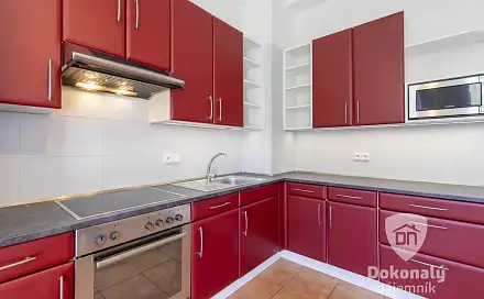 Pronájem bytu 1+1 55 m²