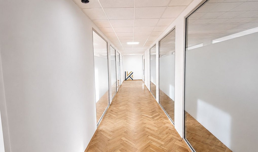 Pronájem kanceláře 280 m², Praha – náhled fotky 2