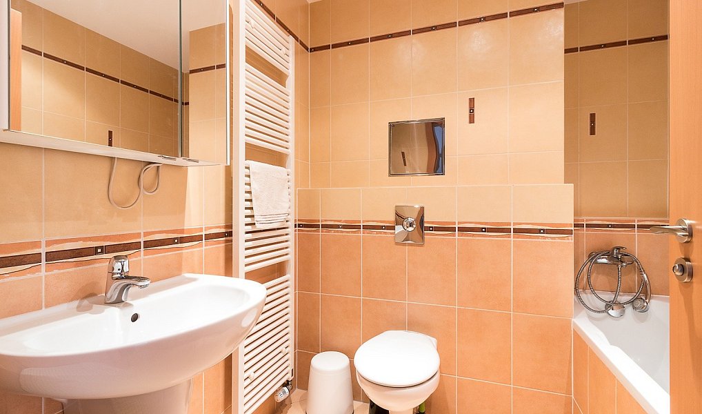 Pronájem bytu 1+kk 29 m², Praha – náhled fotky 3