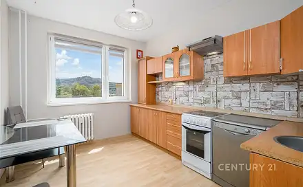 Pronájem bytu 3+1 75 m², Dvořákova, Děčín - Děčín II-Nové Město