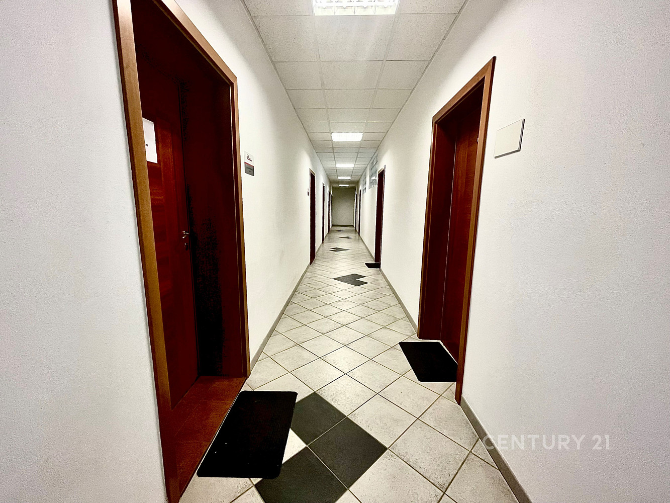 Pronájem kanceláře 38 m² — photo 4