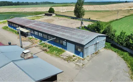 Prodej výrobních prostor 1 400 m², Řídký, okres Svitavy