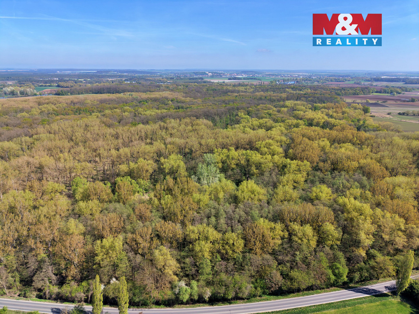 Prodej lesa 70 048 m² — photo 2