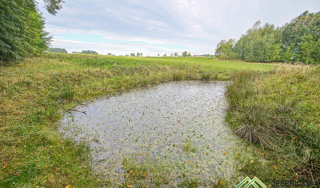 Prodej pole 16 809 m², Velké Kunětice – náhled fotky 9