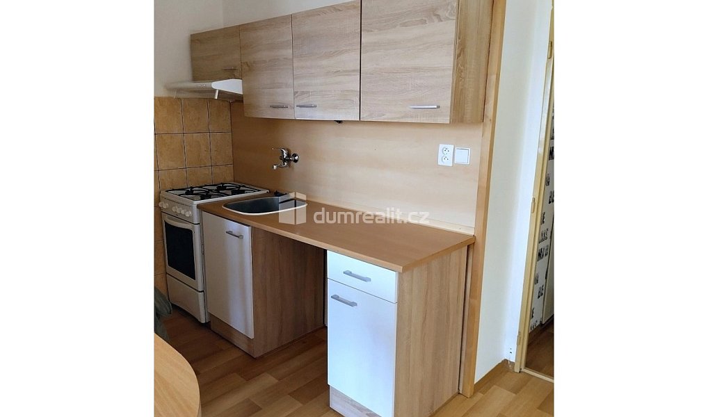 Pronájem bytu 1+1 41 m², Dobřany – náhled fotky 3
