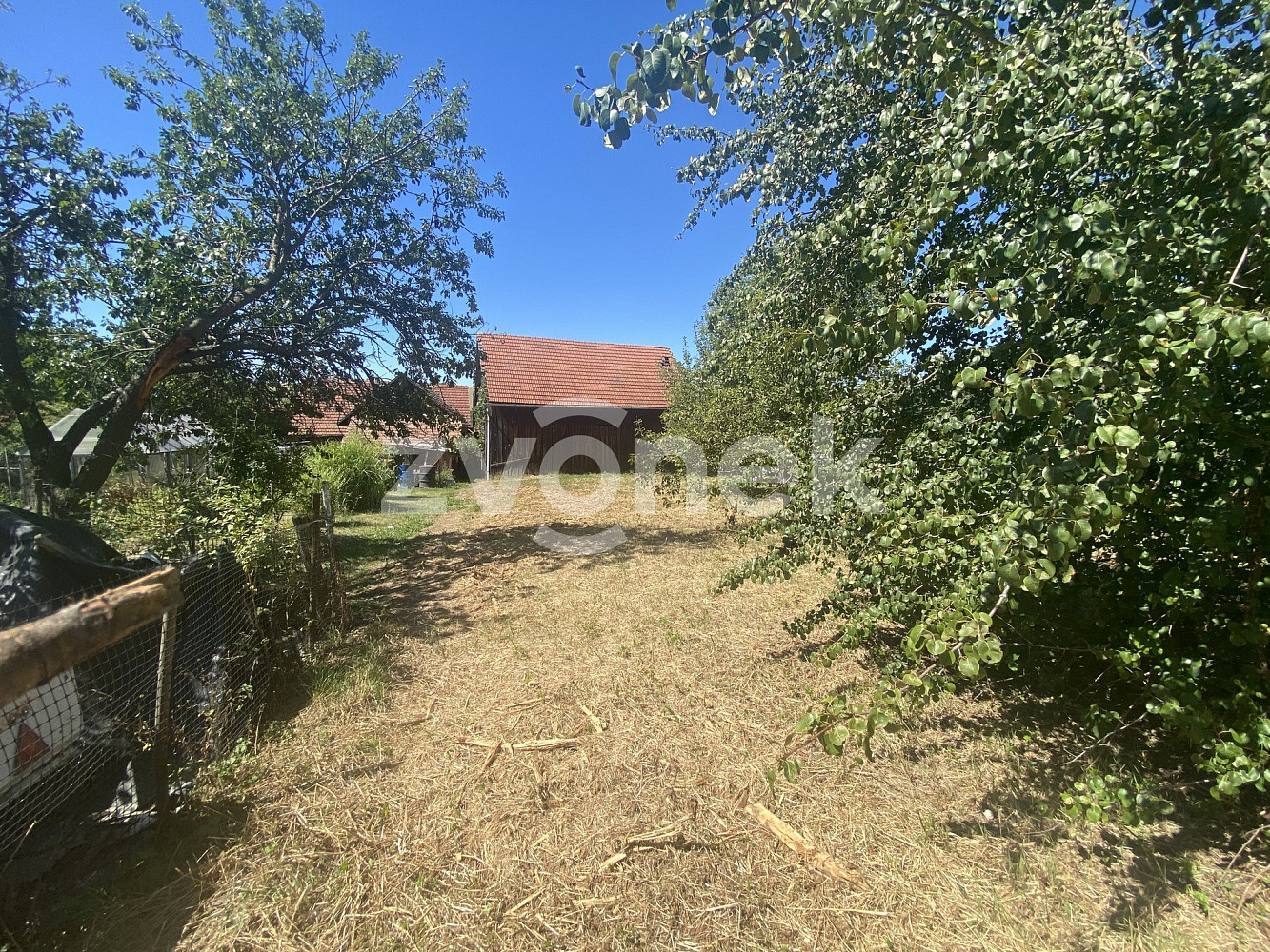 Prodej domu 100 m² s pozemkem 2 453 m² – fotografie 4