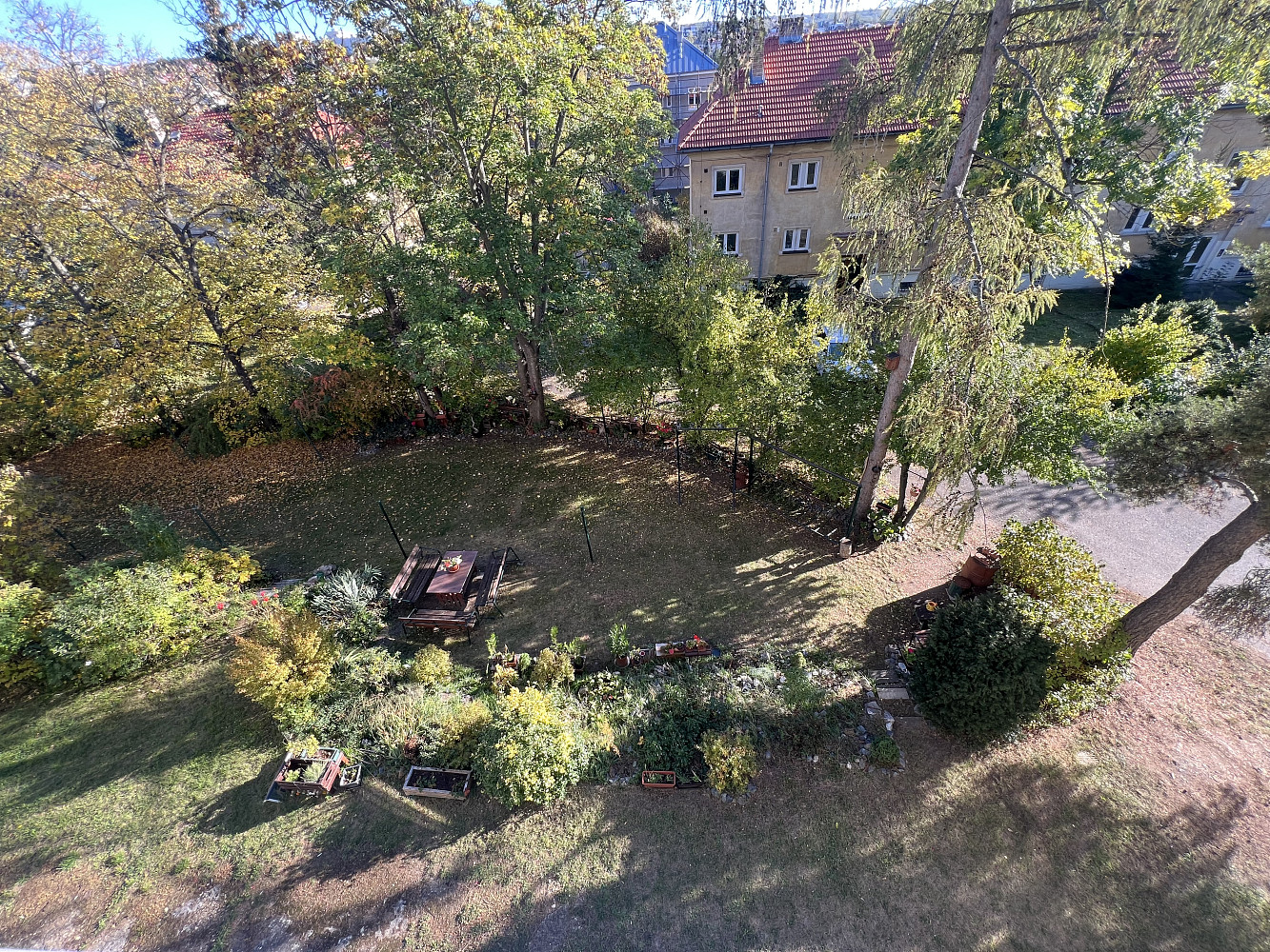 Fotka 12 z 19