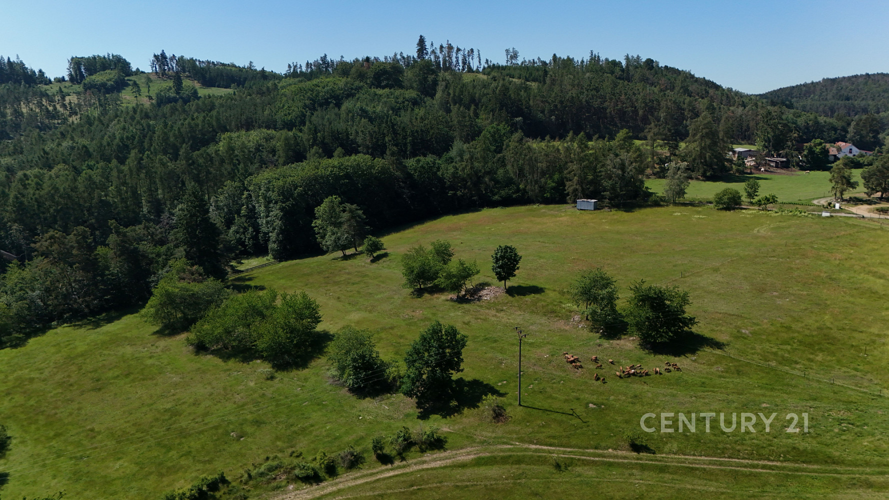 Prodej stavebního pozemku 11 465 m² – fotografie 5