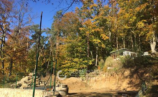 Prodej chaty/chalupy 20 m² s pozemkem 11 807 m², Řehenice - Babice, okres Benešov