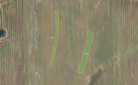 Prodej pole 15 360 m², Újezd u Boskovic, okres Blansko