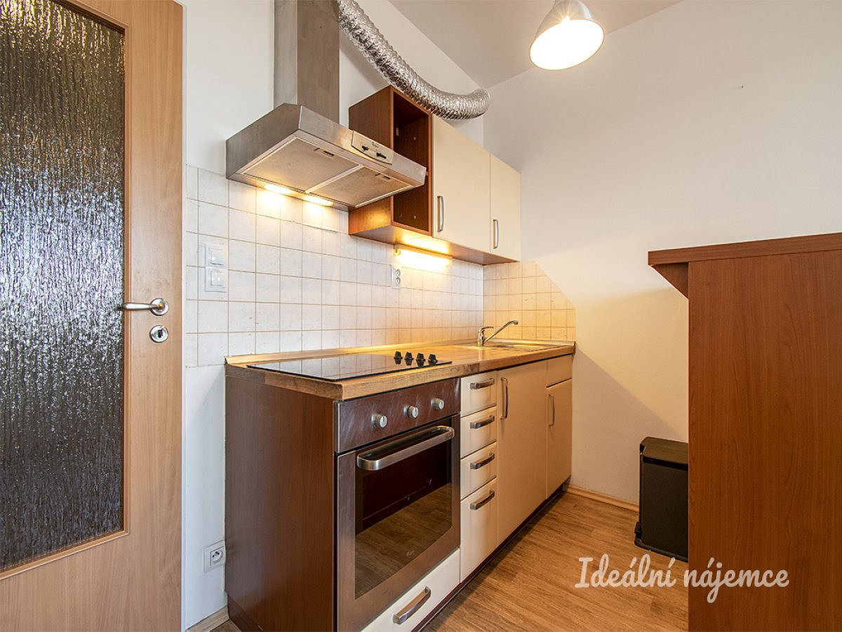 Pronájem bytu 1+kk 30 m² – pohled 4