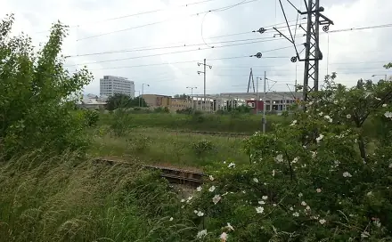 Prodej komerčního pozemku 10 182 m², Brno - Dolní Heršpice
