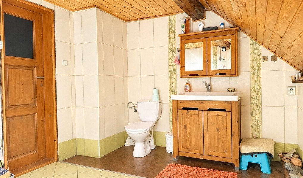 Prodej zemědělského objektu 725 m², Bor – náhled fotky 19