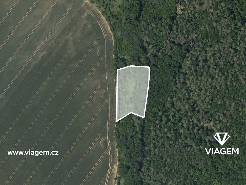 Prodej pole 2 650 m² – fotografie 2