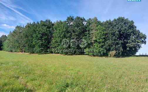 Prodej lesa 4 924 m², Paceřice, okres Liberec