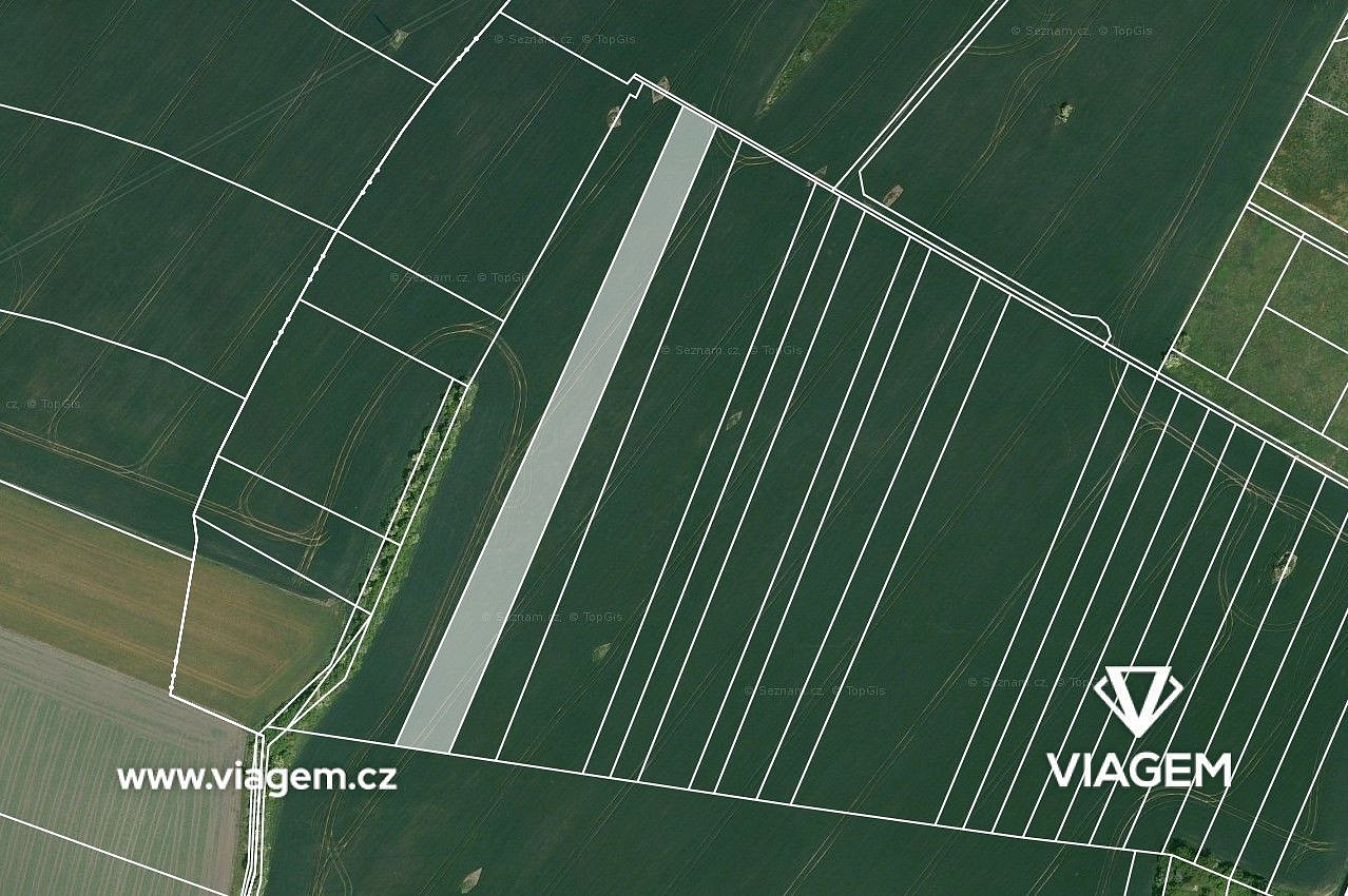 Prodej pole 2 030 m² – fotografie 3