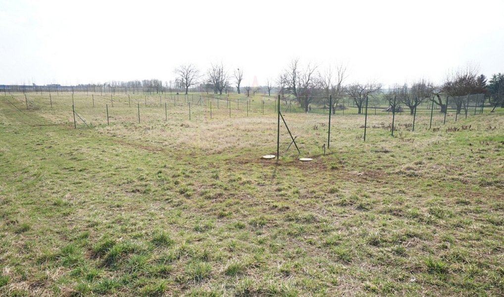 Pronájem zahrady 384 m², Jaroměř – náhled fotky 14