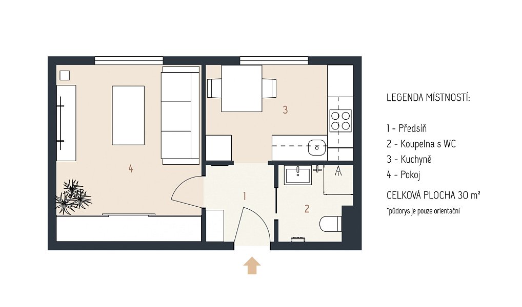 Pronájem bytu 1+1 30 m², Plzeň – náhled fotky 13