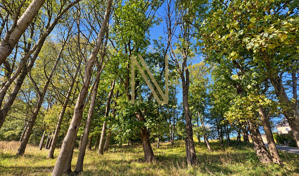 Prodej domu 65 m² s pozemkem 6 057 m², Hazlov – náhled fotky 24