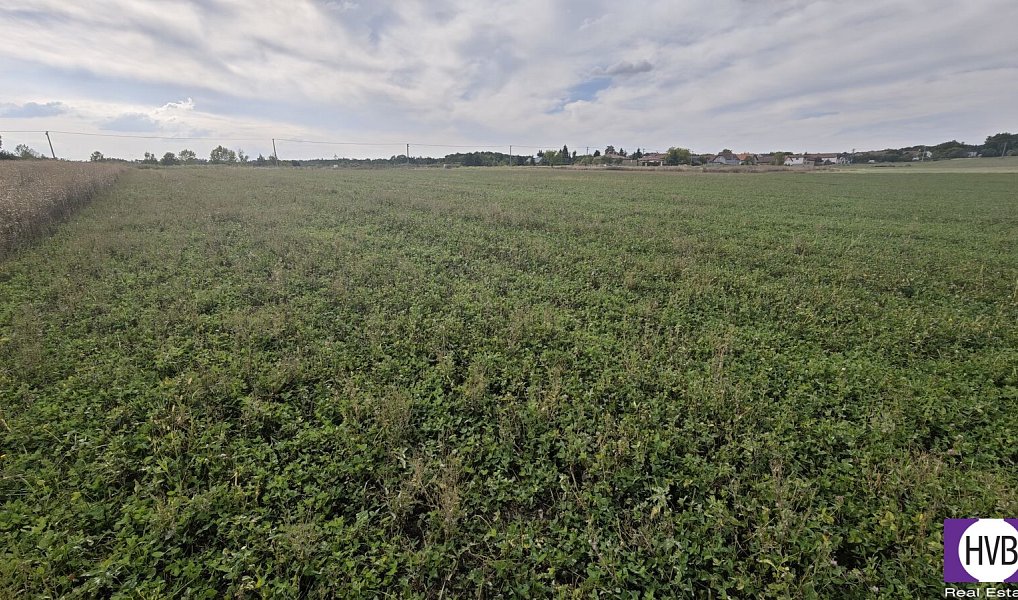 Prodej stavebního pozemku 3 767 m², Bělušice – náhled fotky 11