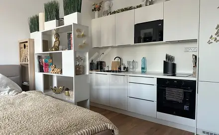 Pronájem bytu 1+kk 34 m²