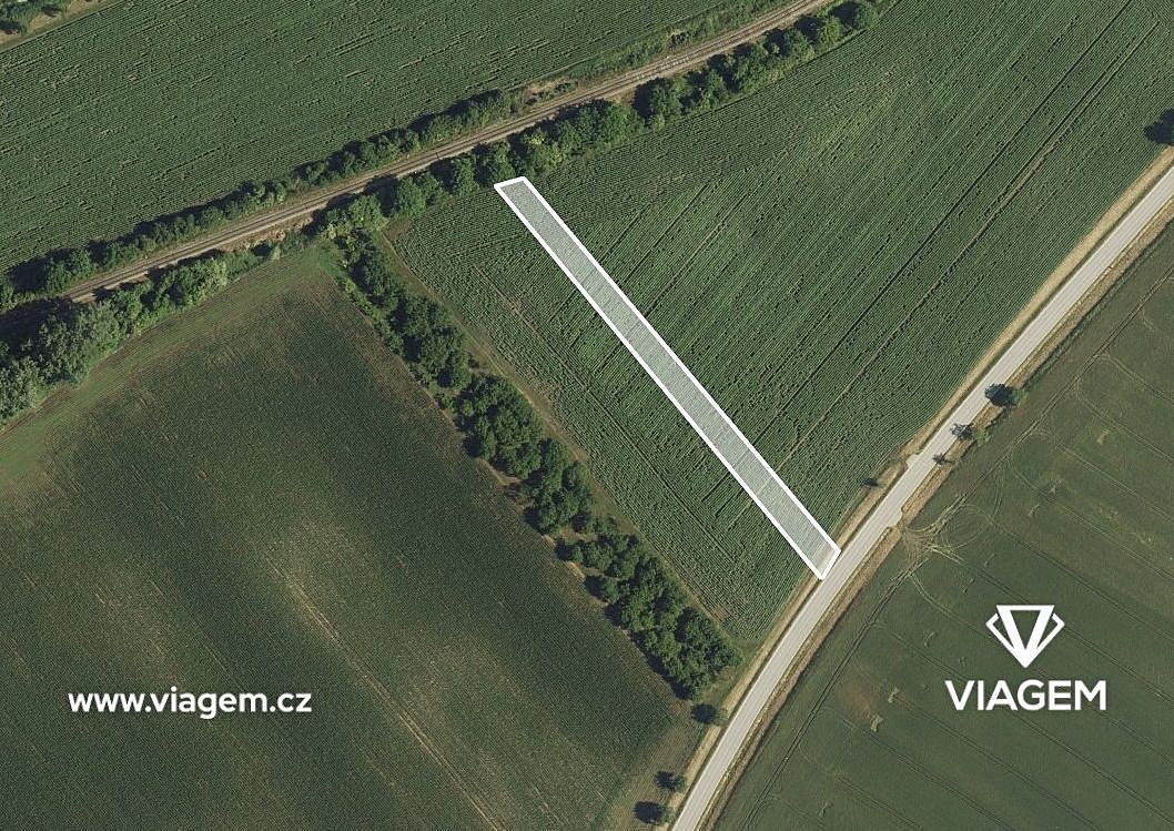 Prodej pole 1 800 m² – fotografie 2
